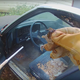 Illustration for article titled Bee Man Clearing Chevrolet El Camino of Giant European Hornet Nest: Im Going to Need a Bigger Bag